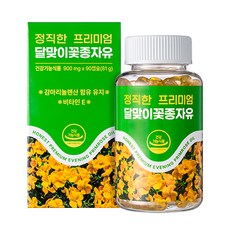 正直的優質月見草種子油, 90片, 1個