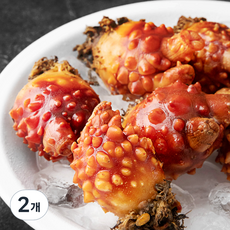 남해안 산지직송 생물 피멍게 (냉장), 1.5kg, 2개