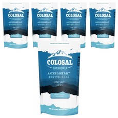 콜로살 안데스 호수소금 고운입자, 500g, 5개