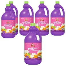 홈스타 향 락스, 2L, 6개