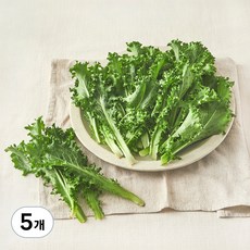 친환경 치커리, 150g, 5개