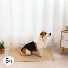 살림다온 반려동물 빨아쓰는 배변패드 베이지, 5개, 1개입