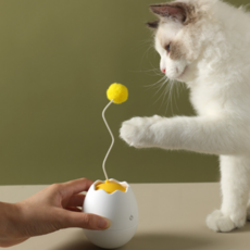 Cookie Cat Cat 自動旋轉 Ottogi 玩具, 白色的, 1個