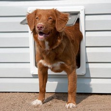 中/大型犬用寵物門, 1個