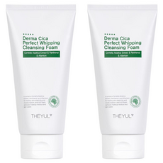 THEYUL Derma積雪草完美濃密泡沫潔顏乳, 150ml, 2條