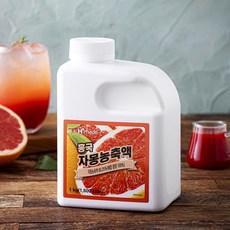 흥국에프엔비 자몽 농축액, 1개, 1kg