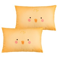 아이자리 에코항균 DTP 애착 베개커버 2P 세트, 삐삐