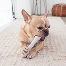 Petstages 新款海德小狗玩具 M, 1個