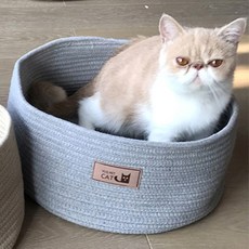 HEALING TIME BTOB 貓咪棉質收納籃 NH-341, 灰色, 1個