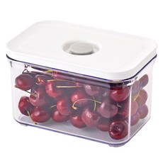 VAKUEN Maha基本密封容器, 1個, 1個