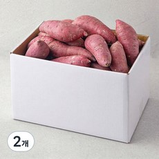 해남 꿀고구마, 5kg, 2개