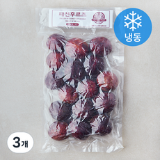 패션후르츠 (냉동), 3개, 1kg