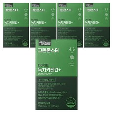 그린몬스터 다이어트 녹차카테킨 플러스, 28정, 15.4g, 5개
