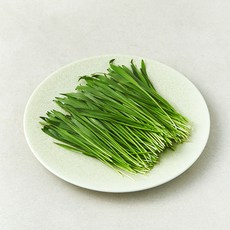 친환경 보리순, 50g, 1개