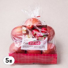 곰곰 농협 문경사과, 1.5kg(중과), 5봉