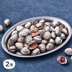 파도와놀던 남해안 새꼬막 (냉장), 2개, 800g