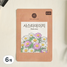 프레시가든 꽃씨앗 샤스타데이지, 6개