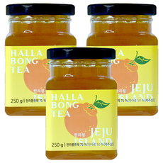 제주담움 한라봉 과일차, 250g, 1개입, 3개