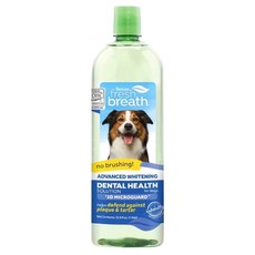 TROPICLEAN 強效美白潔牙水 1L 清新香味 草本植物 簡單方便易操作, 1瓶