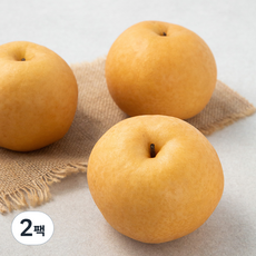 천안 당도선별 신고배, 1.5kg(3입), 2팩