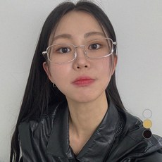 라피던트 긱시크 금속테 메기