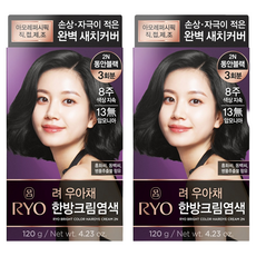 려 우아채 영양 새치염색약, 2N 동안블랙, 2개
