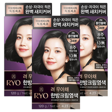 려 우아채 영양 새치염색약, 2N 동안블랙, 3개