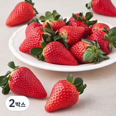 스윗볼 GAP 인증 유러피안 딸기 대과, 1kg, 2박스