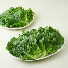 로메인 상추, 1개, 1kg