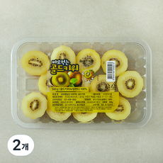All바른농장 바로먹는 골드키위, 2개, 500g