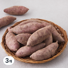 국내산 한입 꿀고구마, 800g, 3개
