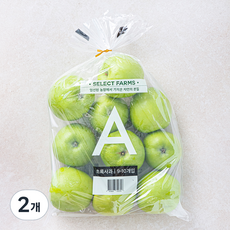 셀렉트팜 GAP 인증 A 초록사과 소과, 1.5kg(소과/9~10입), 2개