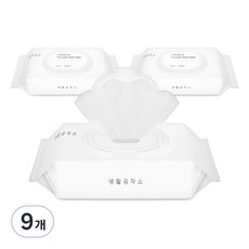 생활공작소 비데 물티슈 캡형, 60매입, 9개