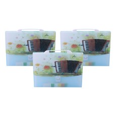 알로데 아트 아코디언 13포켓 A4 서류 정리함 33 x 26 x 3 cm, 03 아코디언, 3개