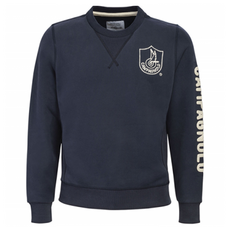 Campagnolo 刺繡大學T