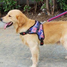 Purple Pet 狗狗 L型胸背帶 + 牽繩套組, 英國國旗