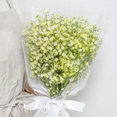 코코도르팜 생화 안개 꽃다발, 레몬