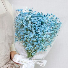 코코도르팜 생화 안개 꽃다발, 블루