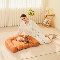 개과천선 강아지 더문 방석, 오렌지, 1개