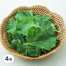국내산 친환경 베이비케일, 50g, 4개