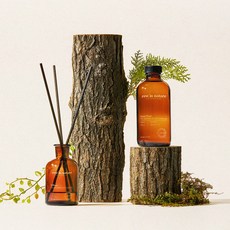 레스트인네이처 디퓨저, 포레스트 우드, 250ml, 1개