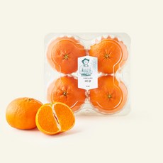 고당도 부무현 농부의 레드향 대과 4개입, 1.2kg, 1개