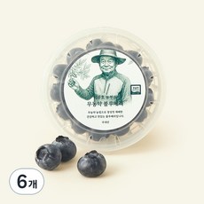 이광호 농부의 무농약 왕블루베리, 100g, 6개