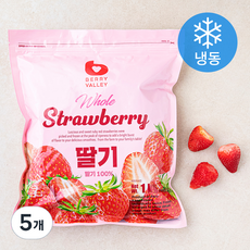 베리밸리 딸기 (냉동), 1kg, 5개