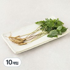 GAP 새싹삼, 1개, 10입