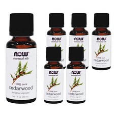 NOW Foods 純雪松精油, 30ml, 6瓶