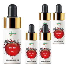 내팜 플라워 아이싱칼라, 30g, 5개