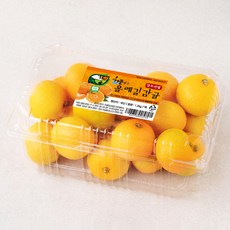 올레길 AI 당도선별 11brix 감귤, 1.2kg(대과), 1개