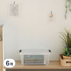 아이리스 국내생산 리빙박스 DDTB, 투명, 6개