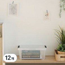 아이리스 국내생산 리빙박스 DDTB, 투명, 12개